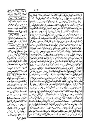 رد المحتار على الدر المختار 5