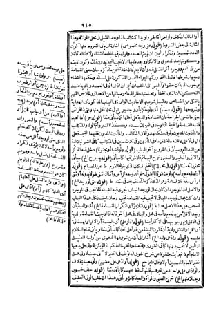 رد المحتار على الدر المختار 5