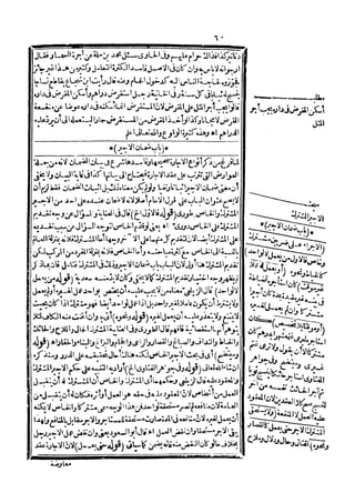 رد المحتار على الدر المختار 5