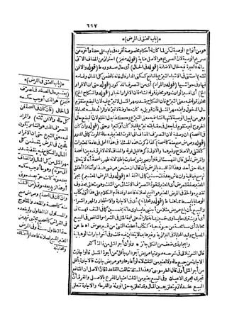 رد المحتار على الدر المختار 5