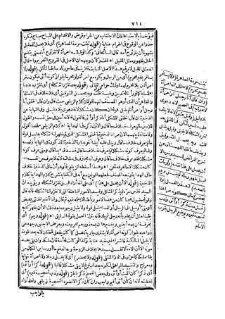 رد المحتار على الدر المختار 5