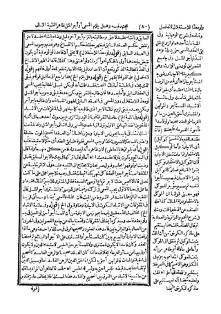 رد المحتار على الدر المختار 5