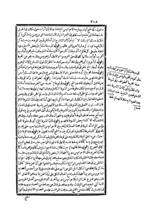 رد المحتار على الدر المختار 2