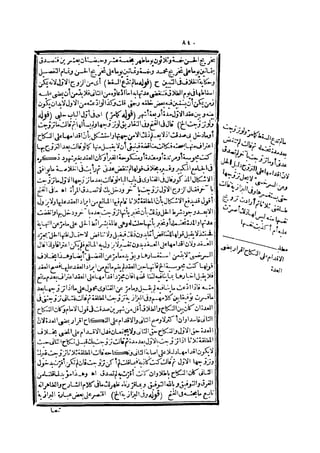 رد المحتار على الدر المختار 2