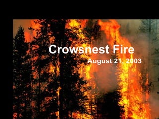 August 21, 2003 Crowsnest Fire 