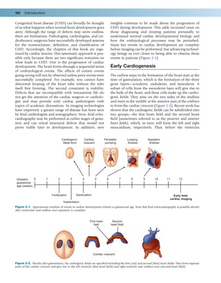 Fetal Cardiovascular Imaging A Disease Based Approach 1st Jack Rychik | PDF