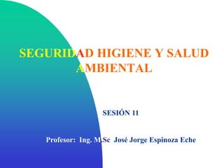 SEGURIDAD HIGIENE Y SALUD
AMBIENTAL
SESIÓN 11
Profesor: Ing. M.Sc. José Jorge Espinoza Eche
 