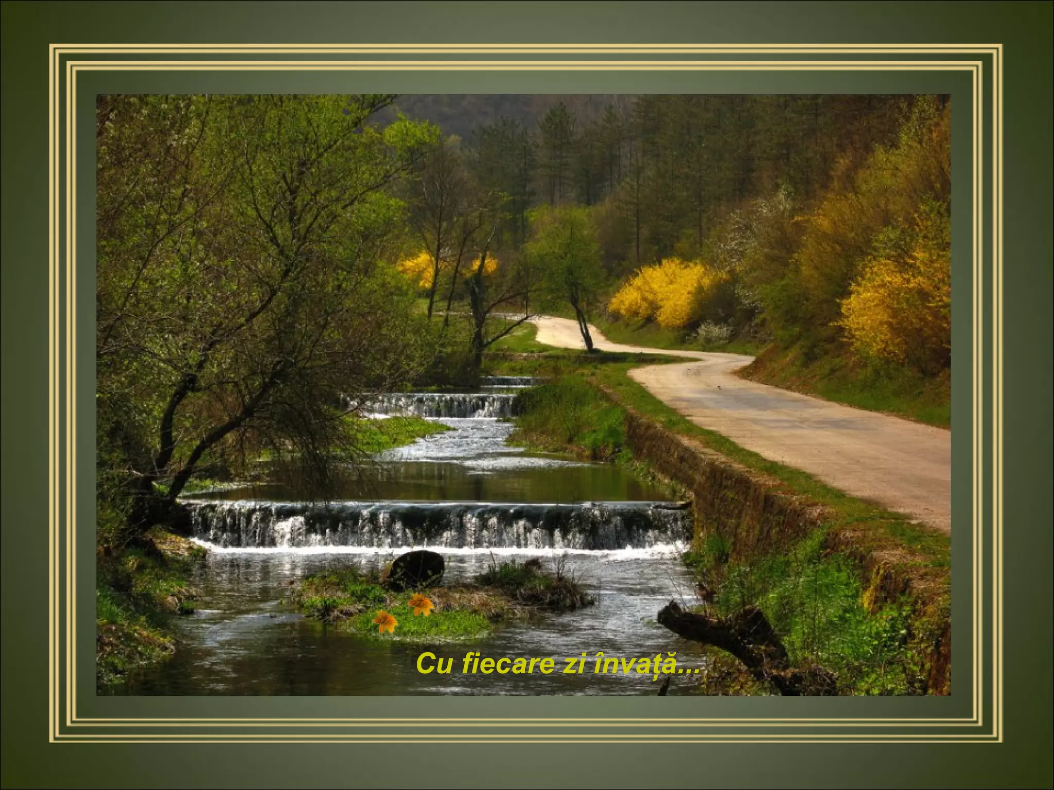 Cu fiecare zi învaţă... 