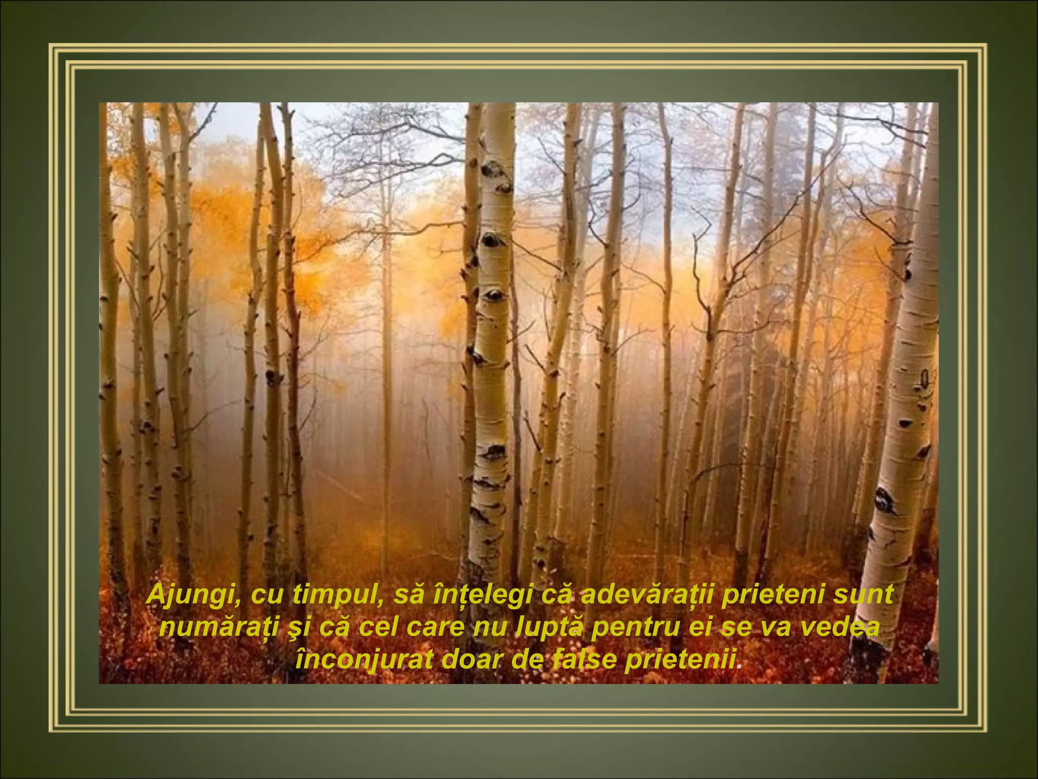 Ajungi, cu timpul, să înţelegi că adevăraţii prieteni sunt număraţi şi că cel care nu luptă pentru ei se va vedea înconjurat doar de false prietenii . 