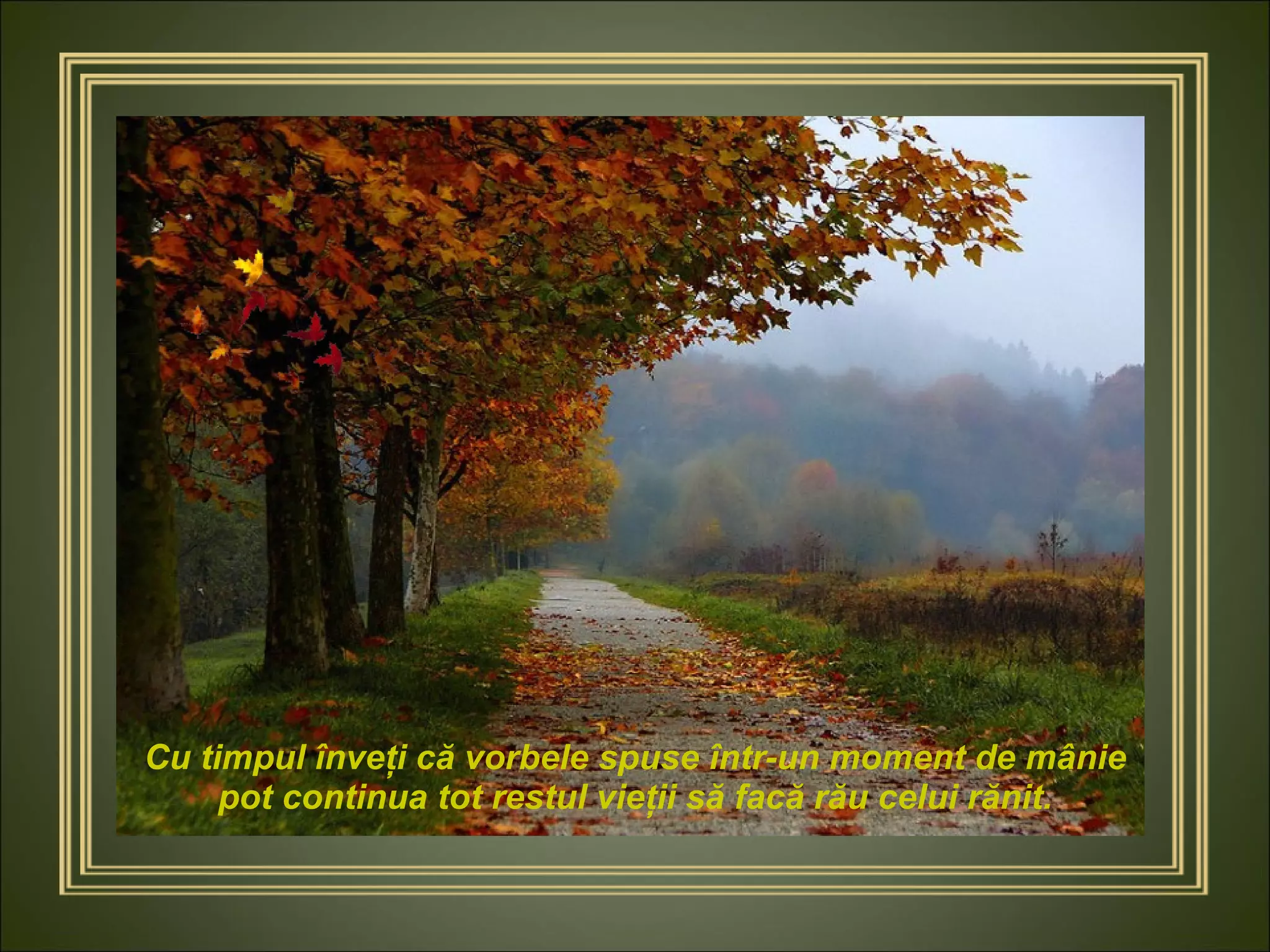 Cu timpul înveţi că vorbele spuse într-un moment de mânie pot continua tot restul vieţii să facă rău celui rănit. 