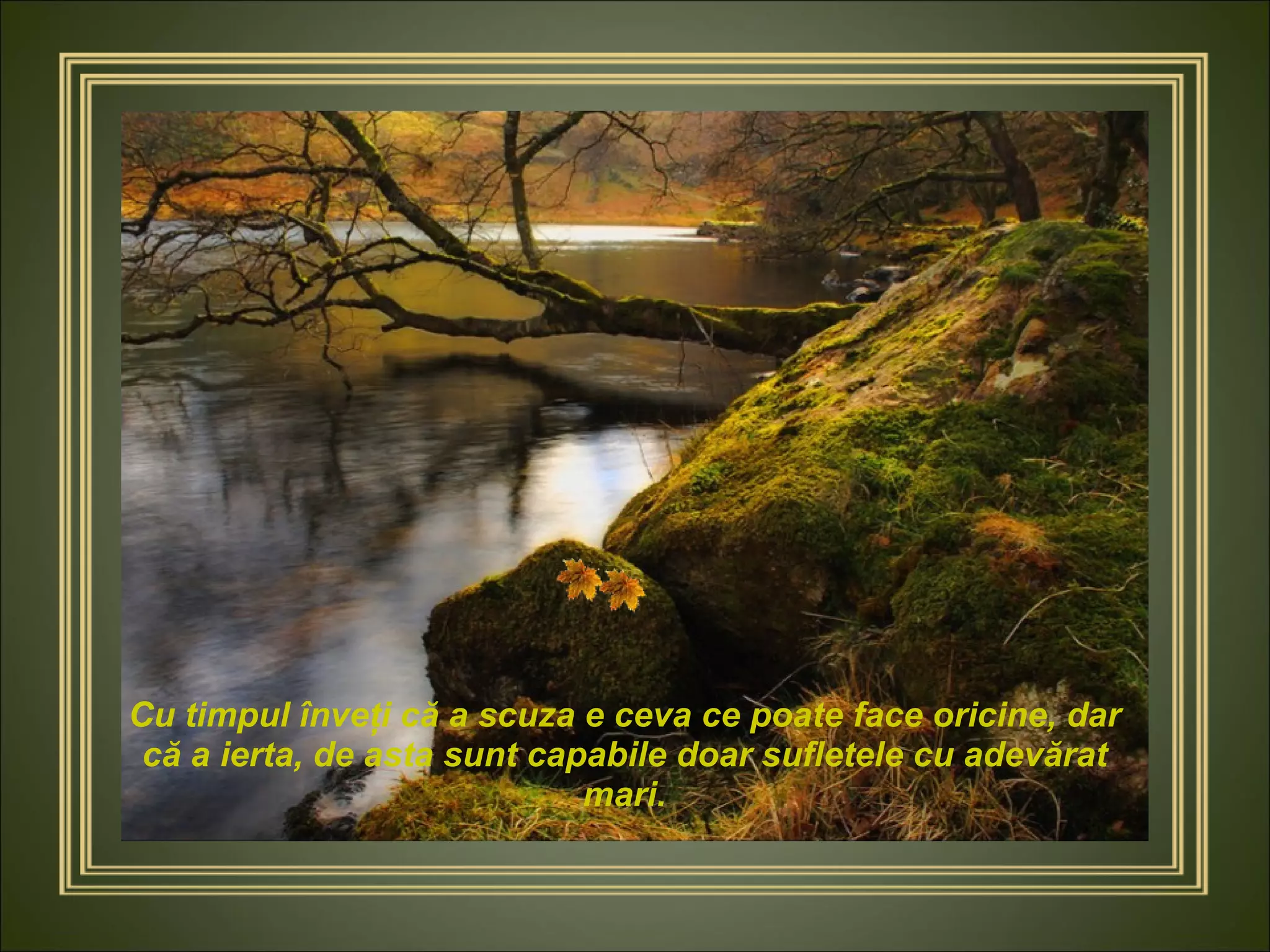 Cu timpul înveţi că a scuza e ceva ce poate face oricine, dar că a ierta, de asta sunt capabile doar sufletele cu adevărat mari. 