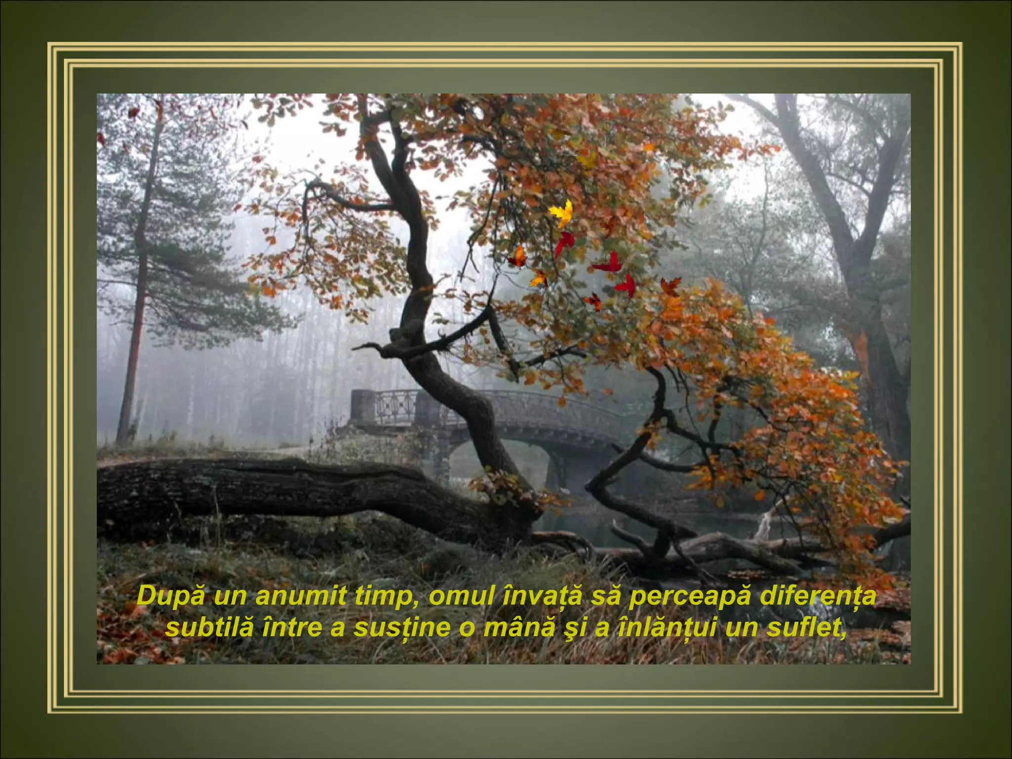 După un anumit timp, omul învaţă să perceapă diferenţa subtilă între a susţine o mână şi a înlănţui un suflet, 