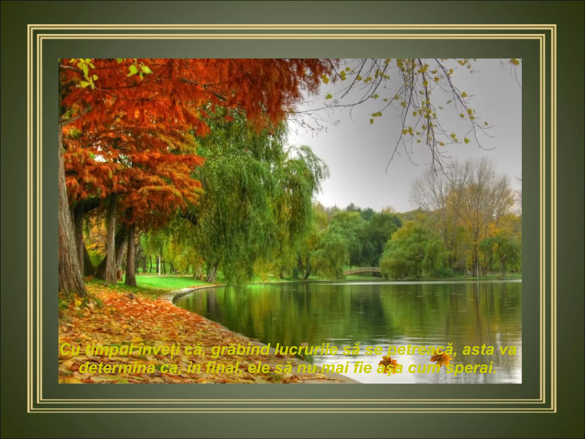 Cu timpul înveţi că, grăbind lucrurile să se petreacă, asta va determina ca, în final, ele să nu mai fie aşa cum sperai. 