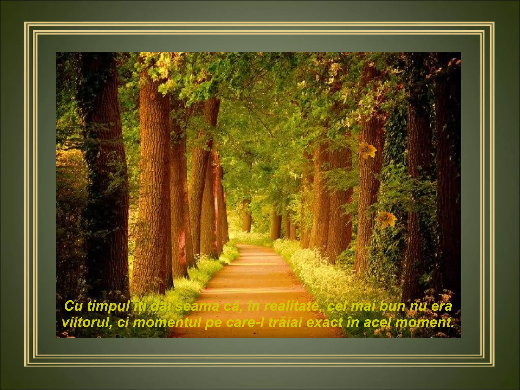 Cu timpul îţi dai seama că, în realitate, cel mai bun nu era viitorul, ci momentul pe care-l trăiai exact în acel moment. 