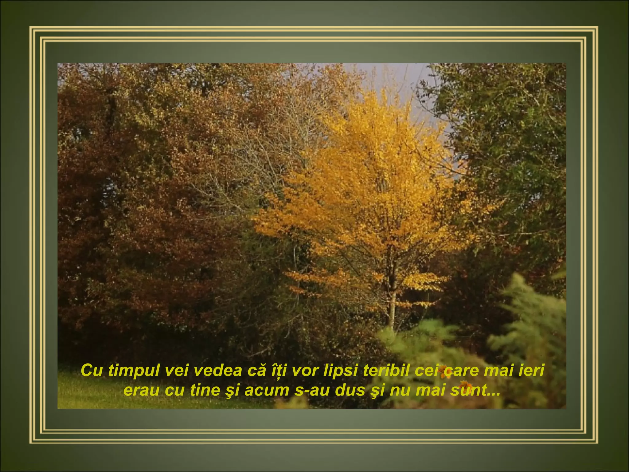 Cu timpul vei vedea că îţi vor lipsi teribil cei care mai ieri erau cu tine şi acum s-au dus şi nu mai sunt... 