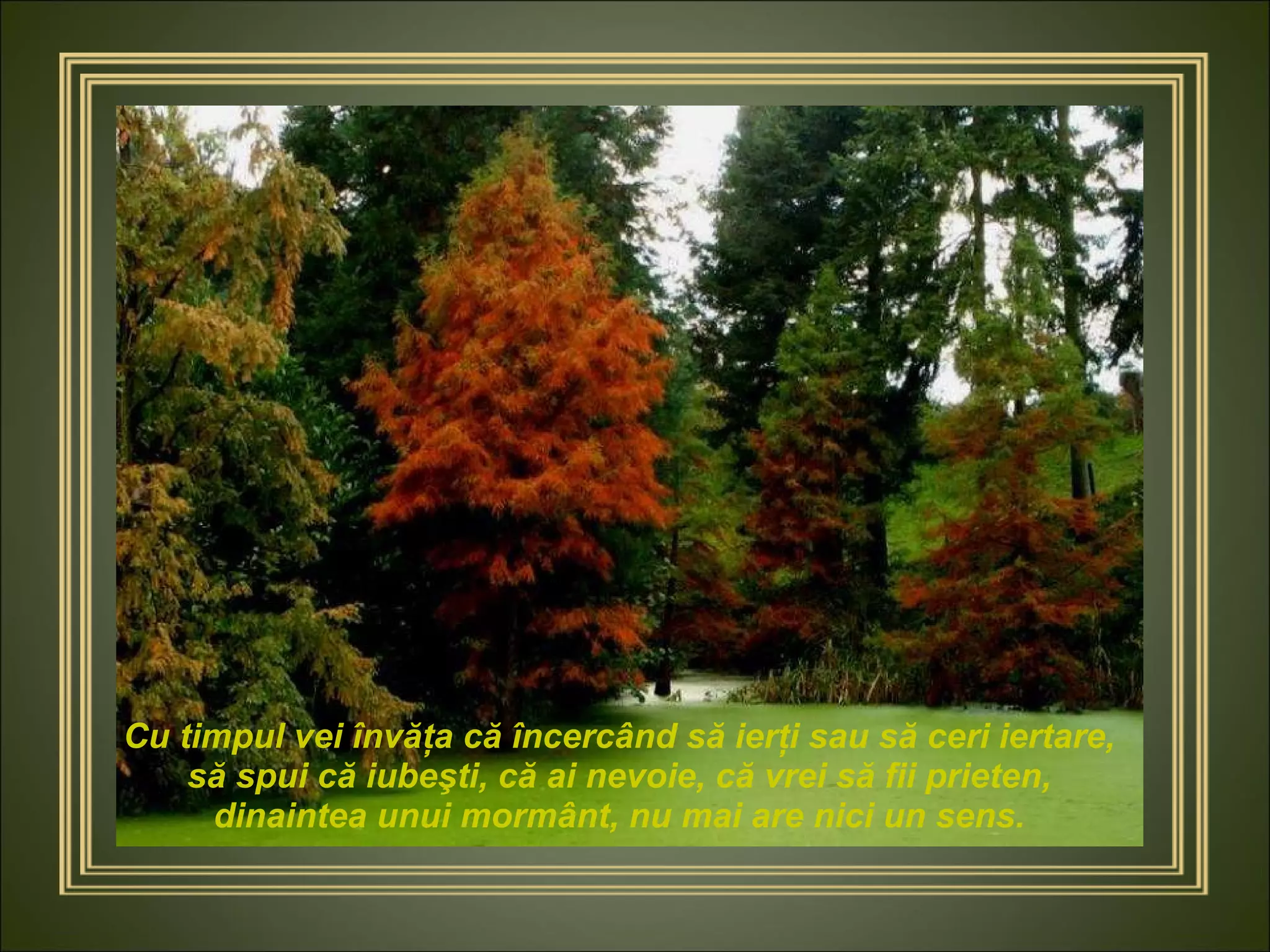 Cu timpul vei învăţa că încercând să ierţi sau să ceri iertare, să spui că iubeşti, că ai nevoie, că vrei să fii prieten, dinaintea unui mormânt, nu mai are nici un sens. 