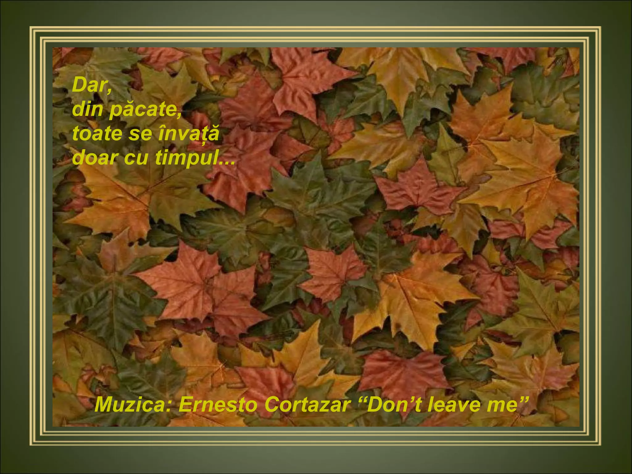 Muzica: Ernesto Cortazar “Don’t leave me” Dar,  din păcate,  toate se învaţă doar cu timpul... 