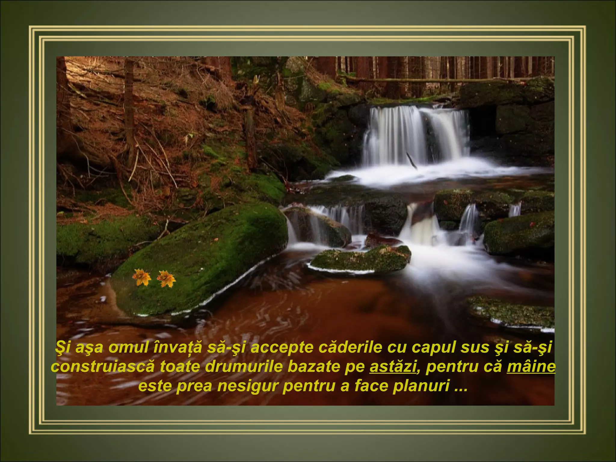 Şi aşa omul învaţă să-şi accepte căderile cu capul sus şi să-şi construiască toate drumurile bazate pe  astăzi , pentru că  mâine  este prea nesigur pentru a face planuri ... 