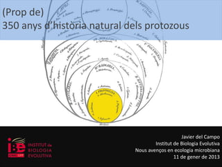 (Prop de) 
350 anys d’història natural dels protozous 
Javier del Campo 
Institut de Biologia Evolutiva 
Nous avenços en ecologia microbiana 
11 de gener de 2013 
 