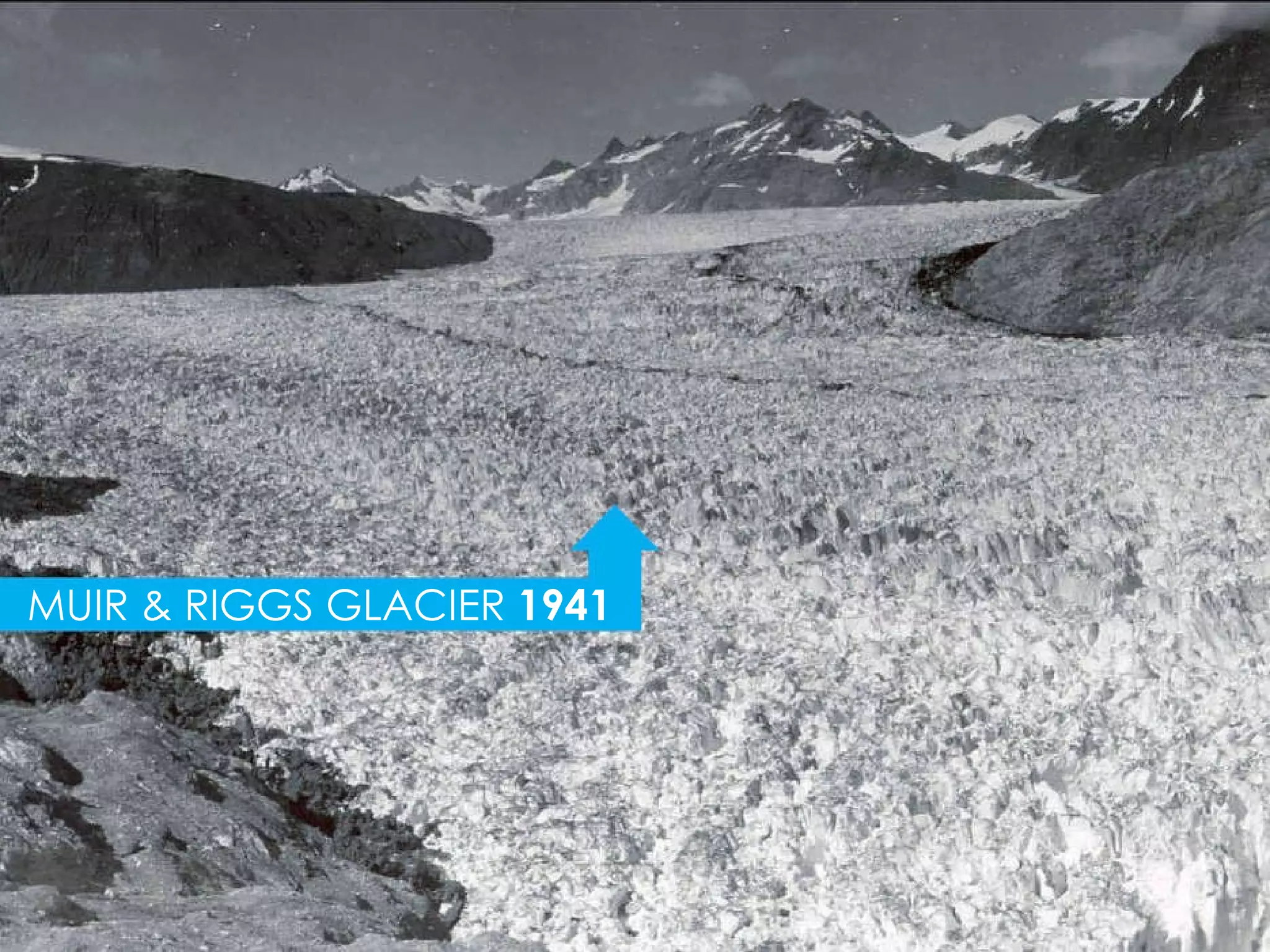 MUIR & RIGGS GLACIER  1941 