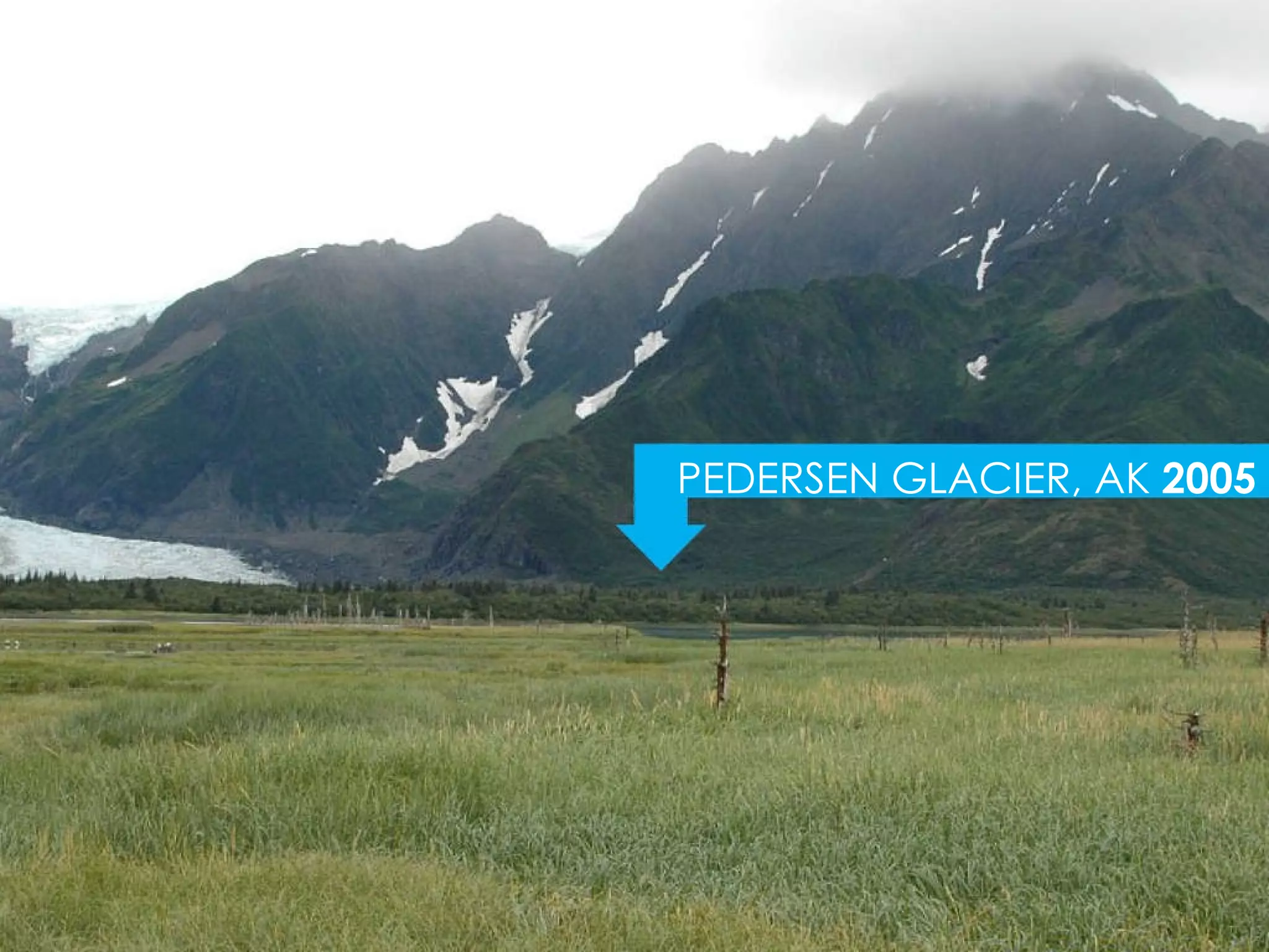 PEDERSEN GLACIER, AK  2005 
