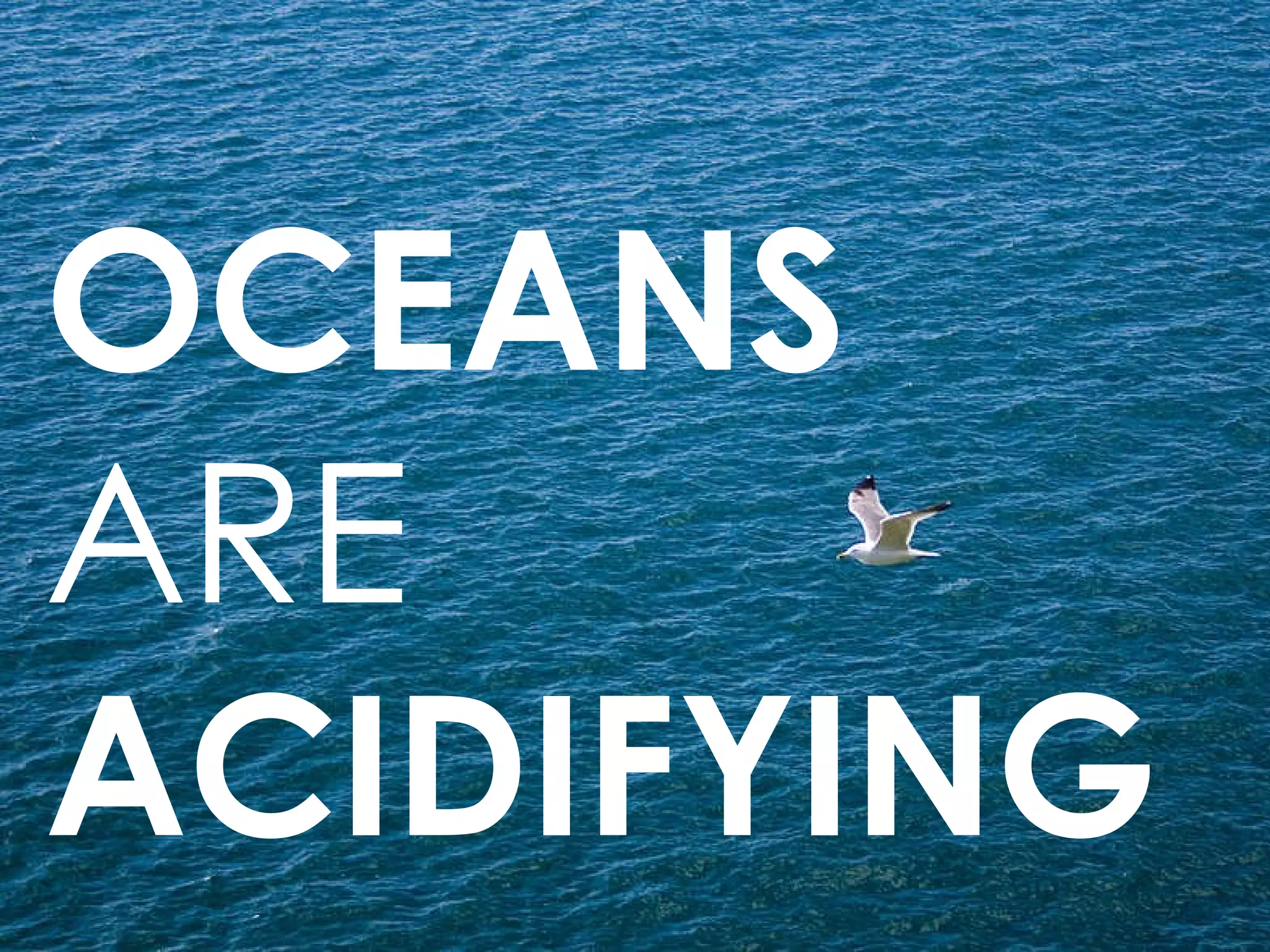OCEANS  ARE  ACIDIFYING  