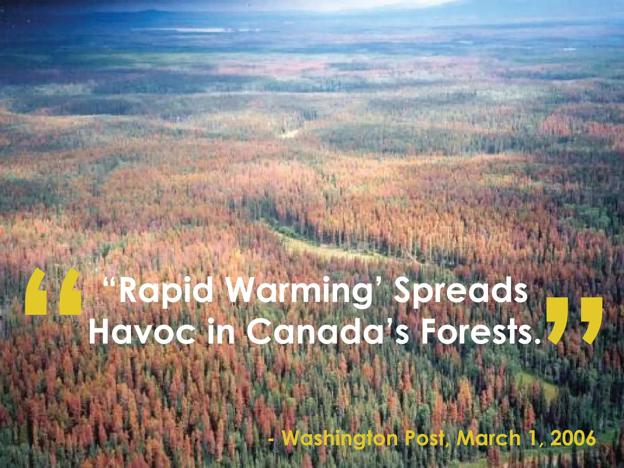 “ Rapid Warming’ Spreads Havoc in Canada’s Forests. “ ” - Washington Post, March 1, 2006 