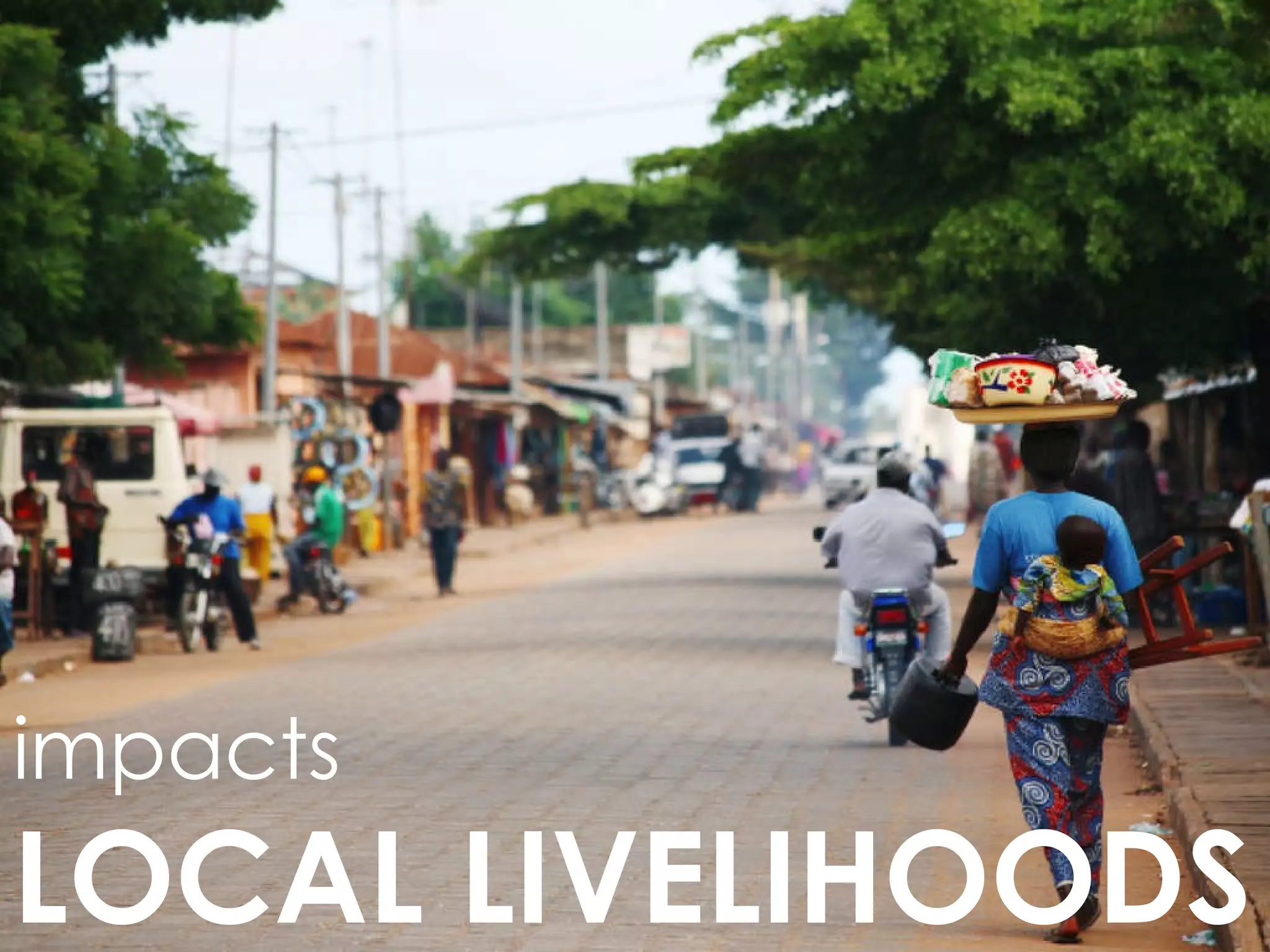 impacts  LOCAL LIVELIHOODS 