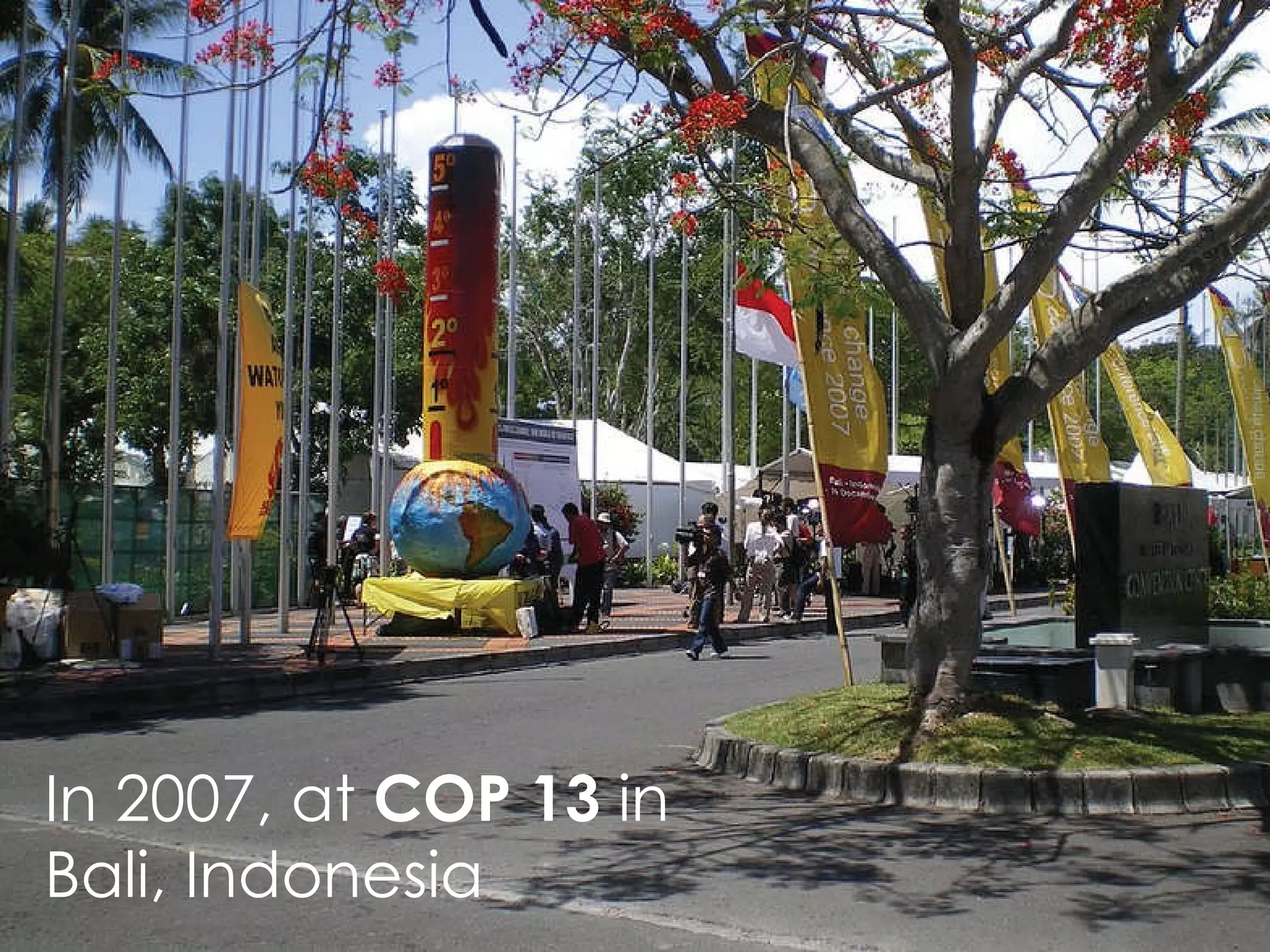 In 2007, at  COP 13  in Bali, Indonesia 