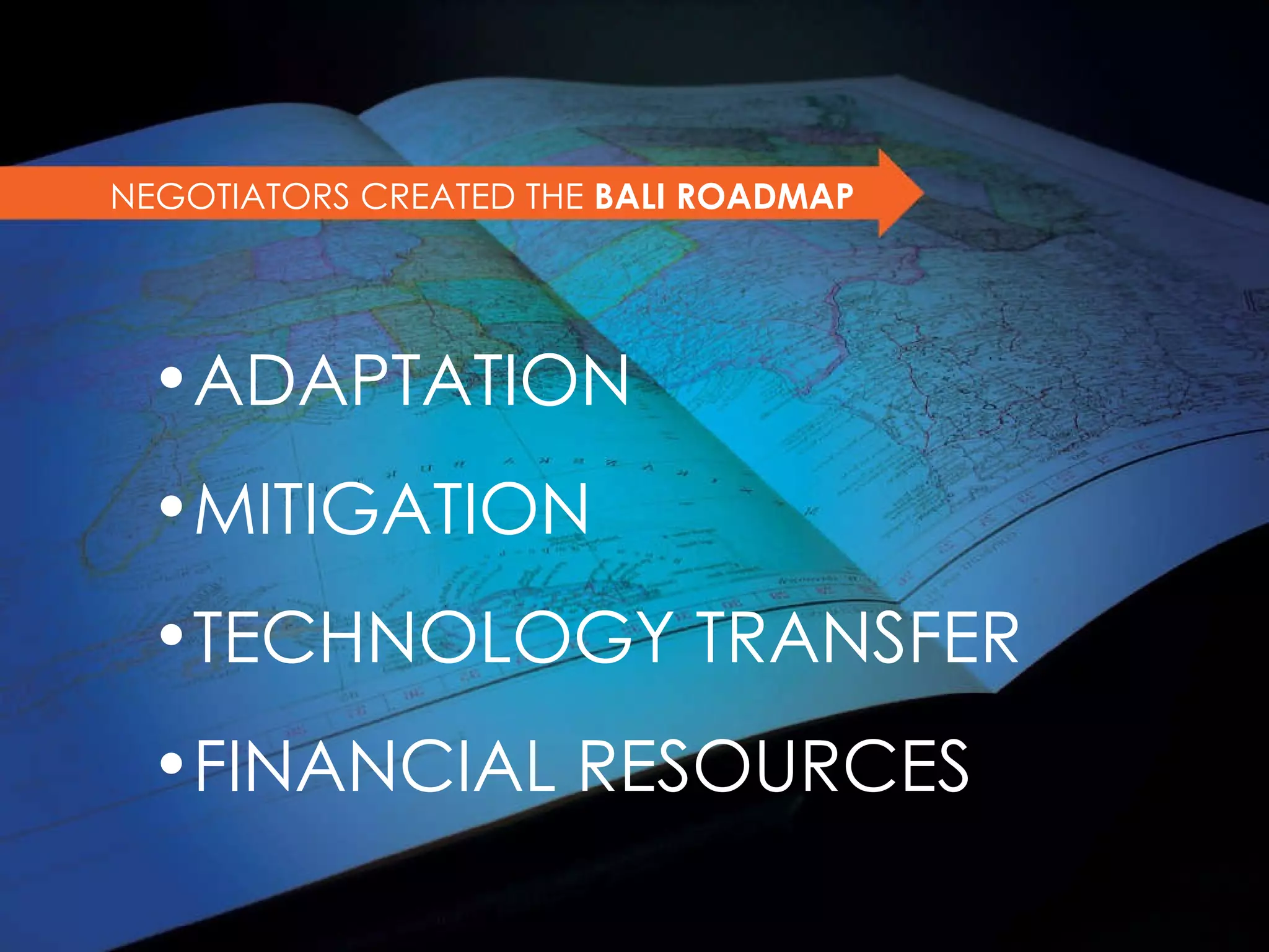 NEGOTIATORS CREATED THE  BALI ROADMAP ADAPTATION MITIGATION TECHNOLOGY TRANSFER FINANCIAL RESOURCES 