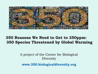 350 Reasons We Need to Get to 350ppm:
350 Species Threatened by Global Warming
A project of the Center for Biological
Diversity
www.350.biologicaldiversity.org
 