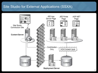 Site Studio for External Applications (SSXA)




                                               10
 