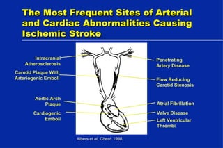 The Most Frequent Sites of Arterial and Cardiac Abnormalities Causing Ischemic Stroke Intracranial Atherosclerosis Carotid Plaque With Arteriogenic Emboli Aortic Arch Plaque Cardiogenic Emboli Penetrating Artery Disease Flow Reducing Carotid Stenosis Atrial Fibrillation Valve Disease Left Ventricular Thrombi Albers et al,  Chest,  1998. 