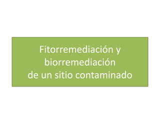 Fitorremediación y
biorremediación
de un sitio contaminado
 
