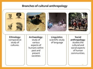 Ethnology:
comparative
study of
cultures.
Archaeology:
study of
various
aspects of
humans within
past and
present
societies
Linguistics:
scientific study
of language
Social
anthropology:
studies the
cultural and
social aspects
of human
communities.
Branches of cultural anthropology
19
 