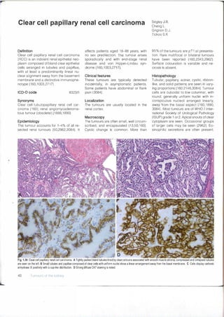 Who Classification Of Tumours Of The Urinary System And Male Genital ...