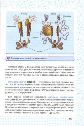 352  биология. 6кл. жив. орг. сивоглазов-2015 -144с