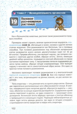 352  биология. 6кл. жив. орг. сивоглазов-2015 -144с