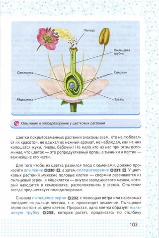 352  биология. 6кл. жив. орг. сивоглазов-2015 -144с