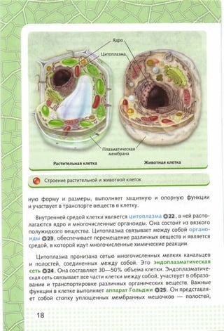 352  биология. 6кл. жив. орг. сивоглазов-2015 -144с