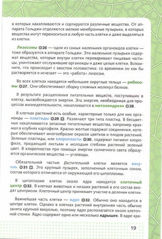 352  биология. 6кл. жив. орг. сивоглазов-2015 -144с