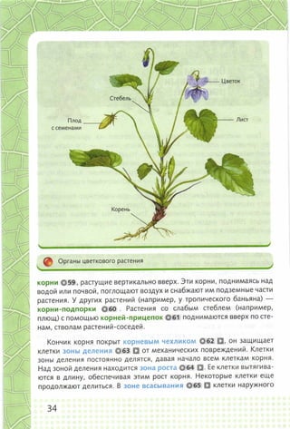 352  биология. 6кл. жив. орг. сивоглазов-2015 -144с