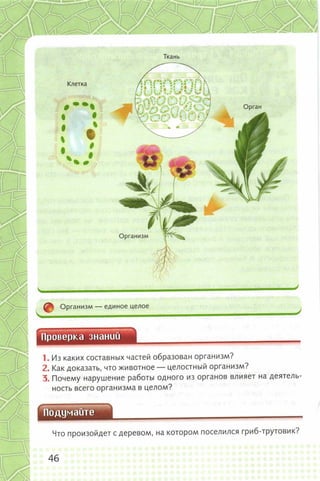 352  биология. 6кл. жив. орг. сивоглазов-2015 -144с