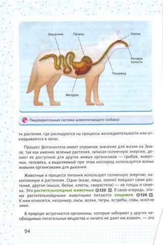 352  биология. 6кл. жив. орг. сивоглазов-2015 -144с