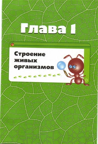 352  биология. 6кл. жив. орг. сивоглазов-2015 -144с