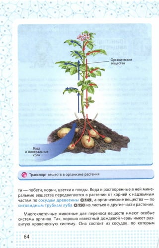 352  биология. 6кл. жив. орг. сивоглазов-2015 -144с