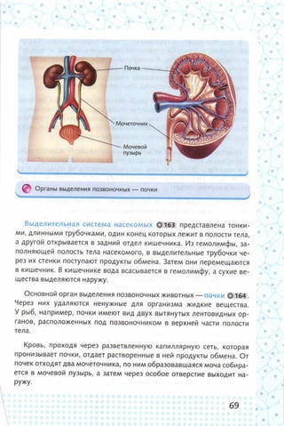 352  биология. 6кл. жив. орг. сивоглазов-2015 -144с