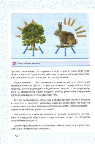 352  биология. 6кл. жив. орг. сивоглазов-2015 -144с