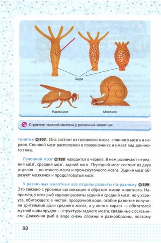 352  биология. 6кл. жив. орг. сивоглазов-2015 -144с