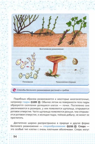 352  биология. 6кл. жив. орг. сивоглазов-2015 -144с